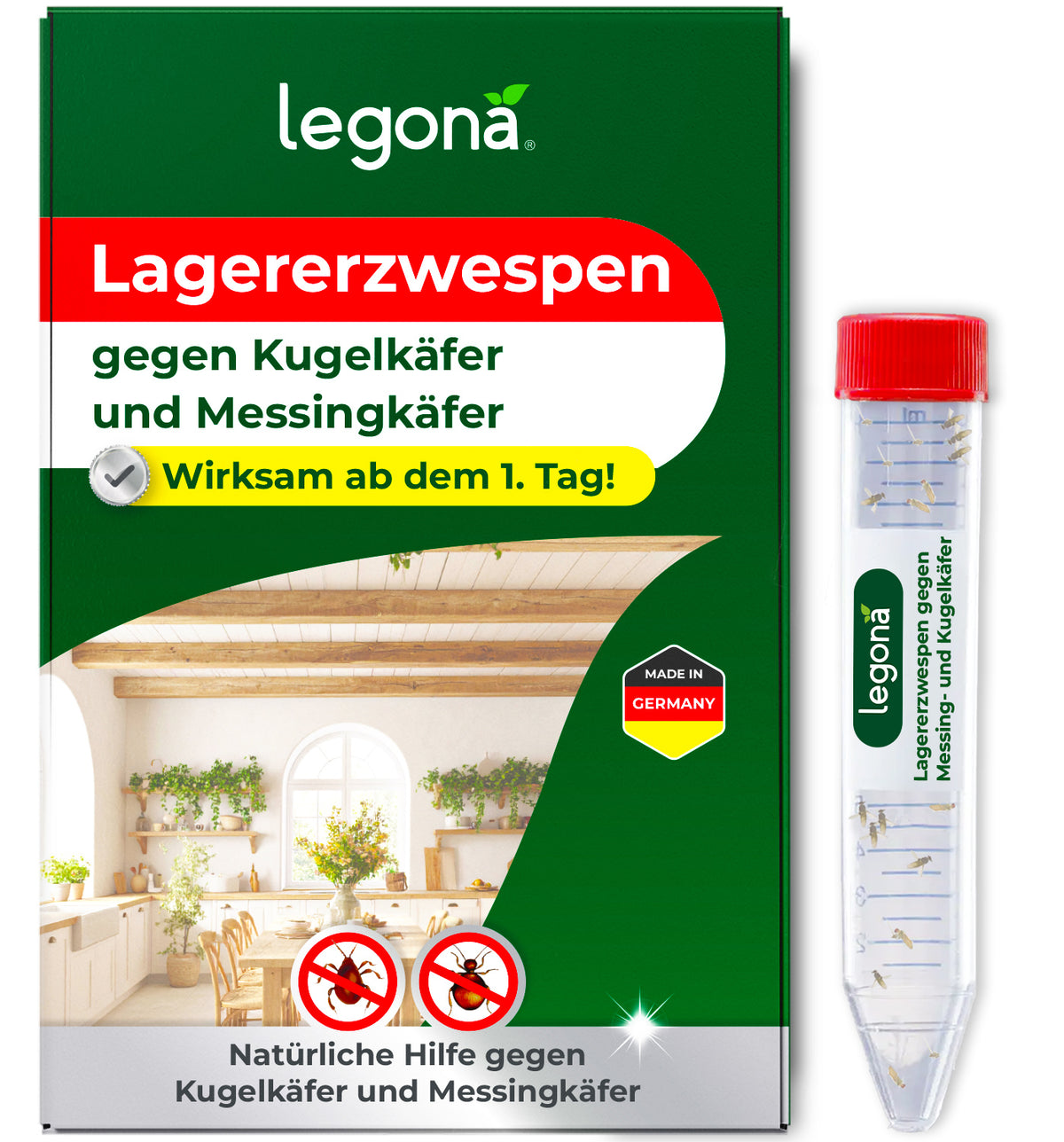 Lagererzwespen gegen Kugelkäfer & Messingkäfer