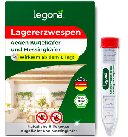 Verpackung und Plastikröhrchen des Produkts Legona Lagererzwespen gegen Kugelkäfer und Messingkäfer mit Texten und Symbolen auf grün-weißem Hintergrund