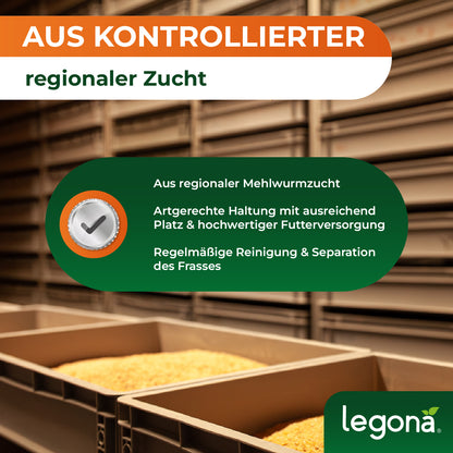 Lebende Mehlwürmer