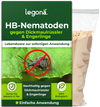 Verpackung von Legona HB-Nematoden gegen Dickmaulrüssler und Engerlinge mit grünem Design, Text und Bild eines Dickmaulrüsslers mit rotem Verbotssymbol, daneben ein durchsichtiger Beutel mit Pulver