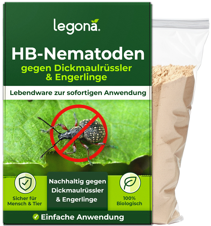 Verpackung von Legona HB-Nematoden gegen Dickmaulrüssler und Engerlinge mit grünem Design, Text und Bild eines Dickmaulrüsslers mit rotem Verbotssymbol, daneben ein durchsichtiger Beutel mit Pulver