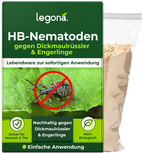 Verpackung von Legona HB-Nematoden gegen Dickmaulrüssler und Engerlinge mit grünem Design, Text und Bild eines Dickmaulrüsslers mit rotem Verbotssymbol, daneben ein durchsichtiger Beutel mit Pulver