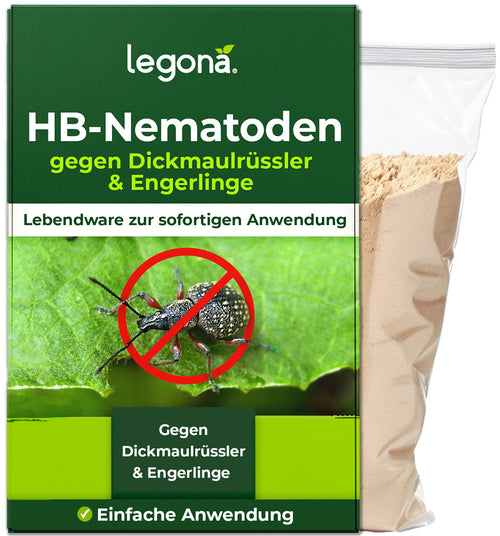 HB-Nematoden gegen Dickmaulrüssler und Engerlinge
