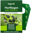 Florfliegenlarven gegen Blattläuse und Thripse