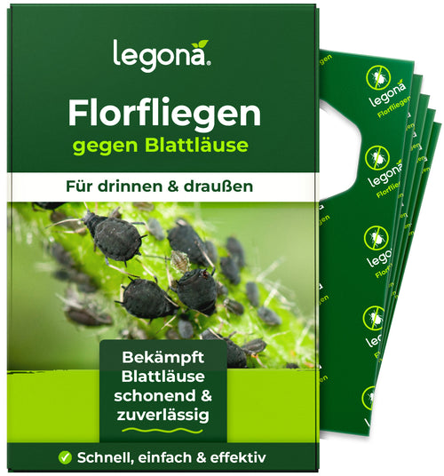 Florfliegenlarven gegen Blattläuse und Thripse