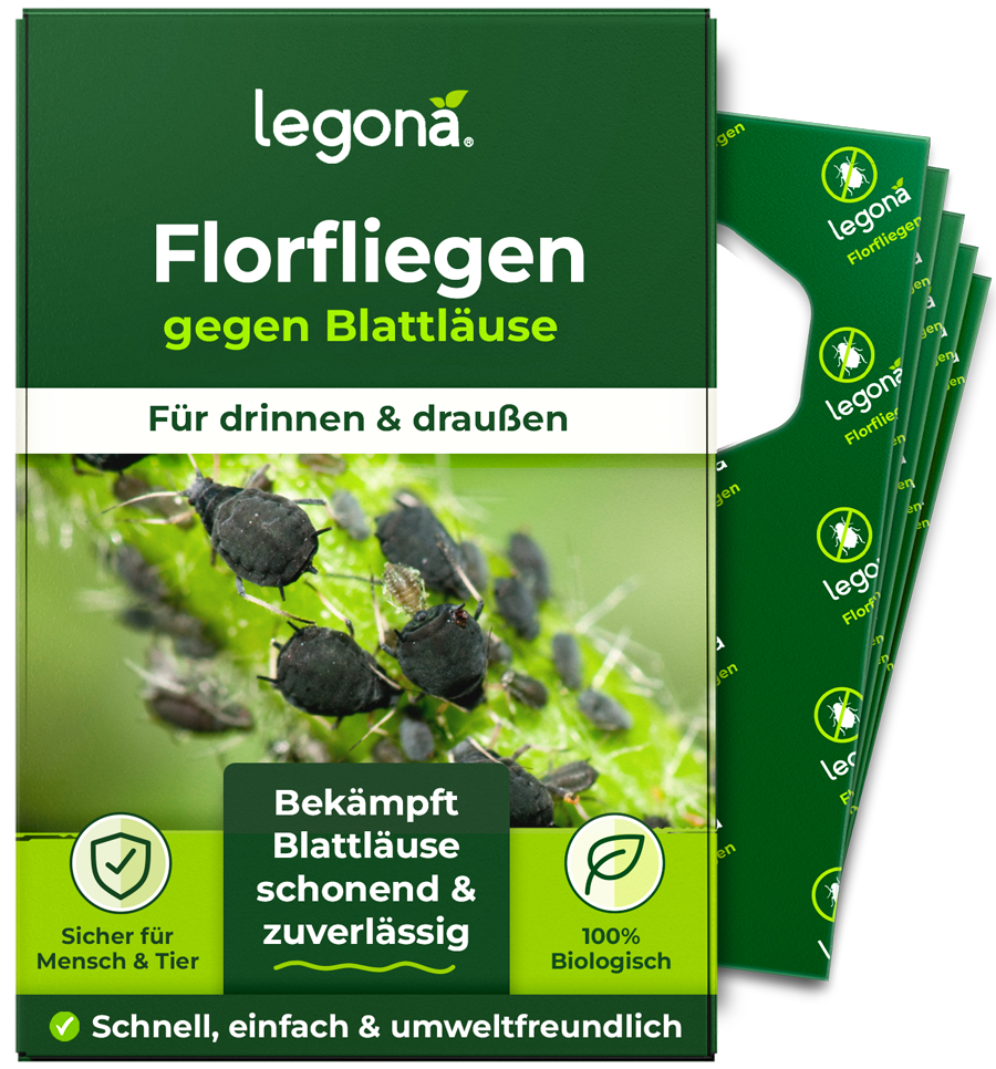 Verpackung von Legona Florfliegen gegen Blattläuse mit Bild von Blattläusen auf einem Pflanzenstängel und Texten zu Anwendung, Sicherheit und biologischer Wirkung