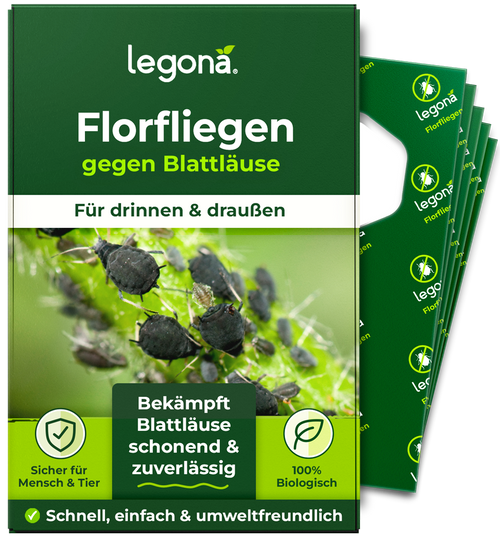 Verpackung von Legona Florfliegen gegen Blattläuse mit Bild von Blattläusen auf einem Pflanzenstängel und Texten zu Anwendung, Sicherheit und biologischer Wirkung