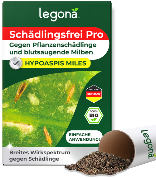 Verpackung von Legona Schädlingsfrei Pro mit Nahaufnahme von Hypoaspis-Milben auf einem Blatt und einem umgekippten Becher mit Granulat
