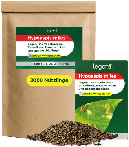 Braune Verpackung und grüne Schachtel mit der Aufschrift 'legona Hypoaspis miles Gegen rote Vogelmilben, Blutmilben, Trauermücken und Bodenschädlinge Breites Wirkspektrum', davor eine Schicht brauner Granulate