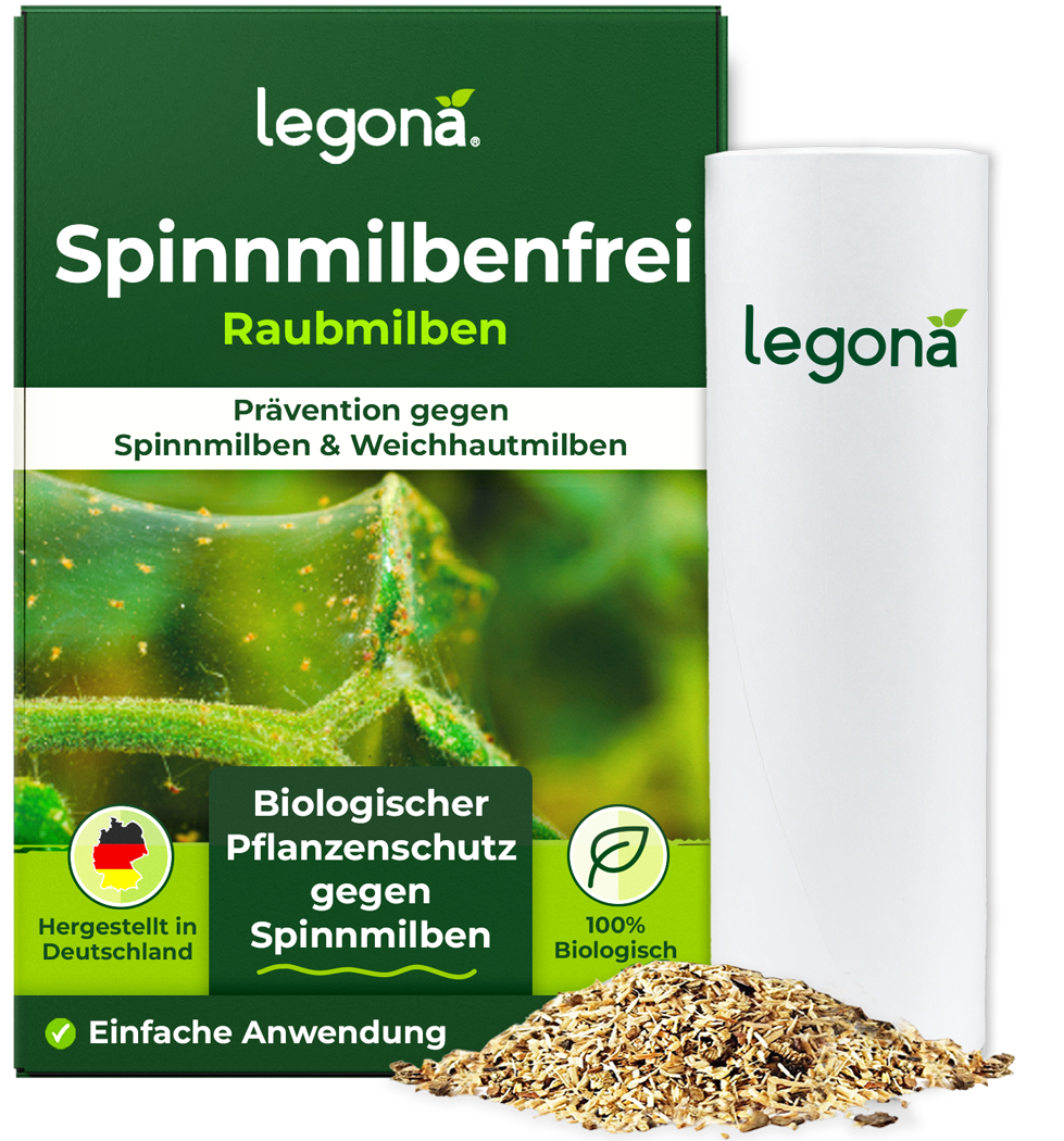 Verpackung eines Legona-Produkts gegen Spinnmilben mit grünem Design, Text und einer weißen Dose neben einem Haufen Granulat