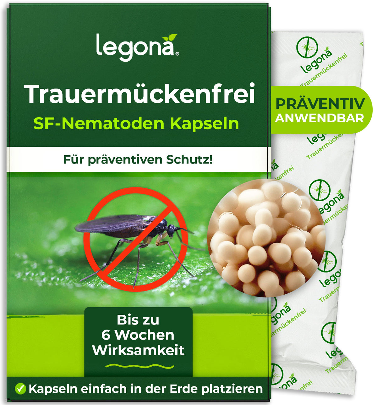 SF-Nematoden gegen Trauermücken und Rüsselkäfer