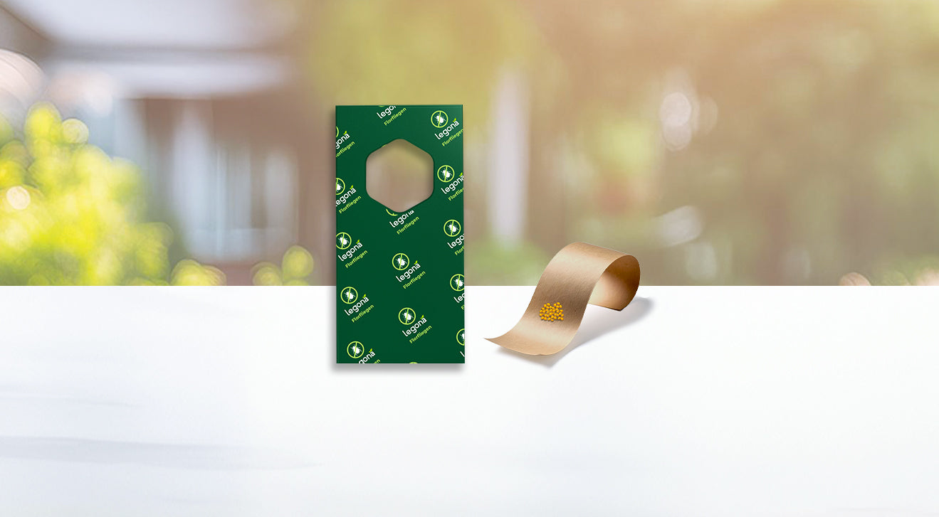 Grüner Trägerstreifen und orange-farbige Eier auf braunem Papierstreifen vor unscharfem Gartenhintergrund