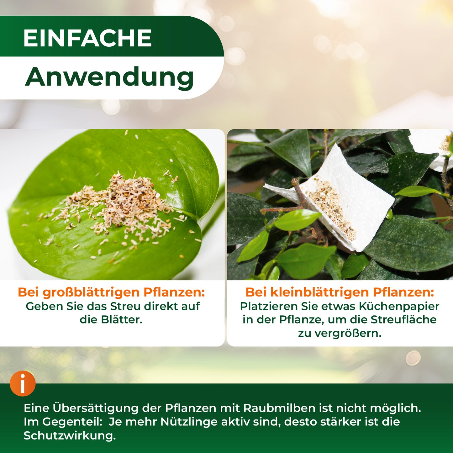 Zwei Nahaufnahmen von Pflanzenblättern mit Streu auf der Oberfläche, links auf einem großen Blatt, rechts auf einem kleinen Blatt mit Küchenpapier darunter