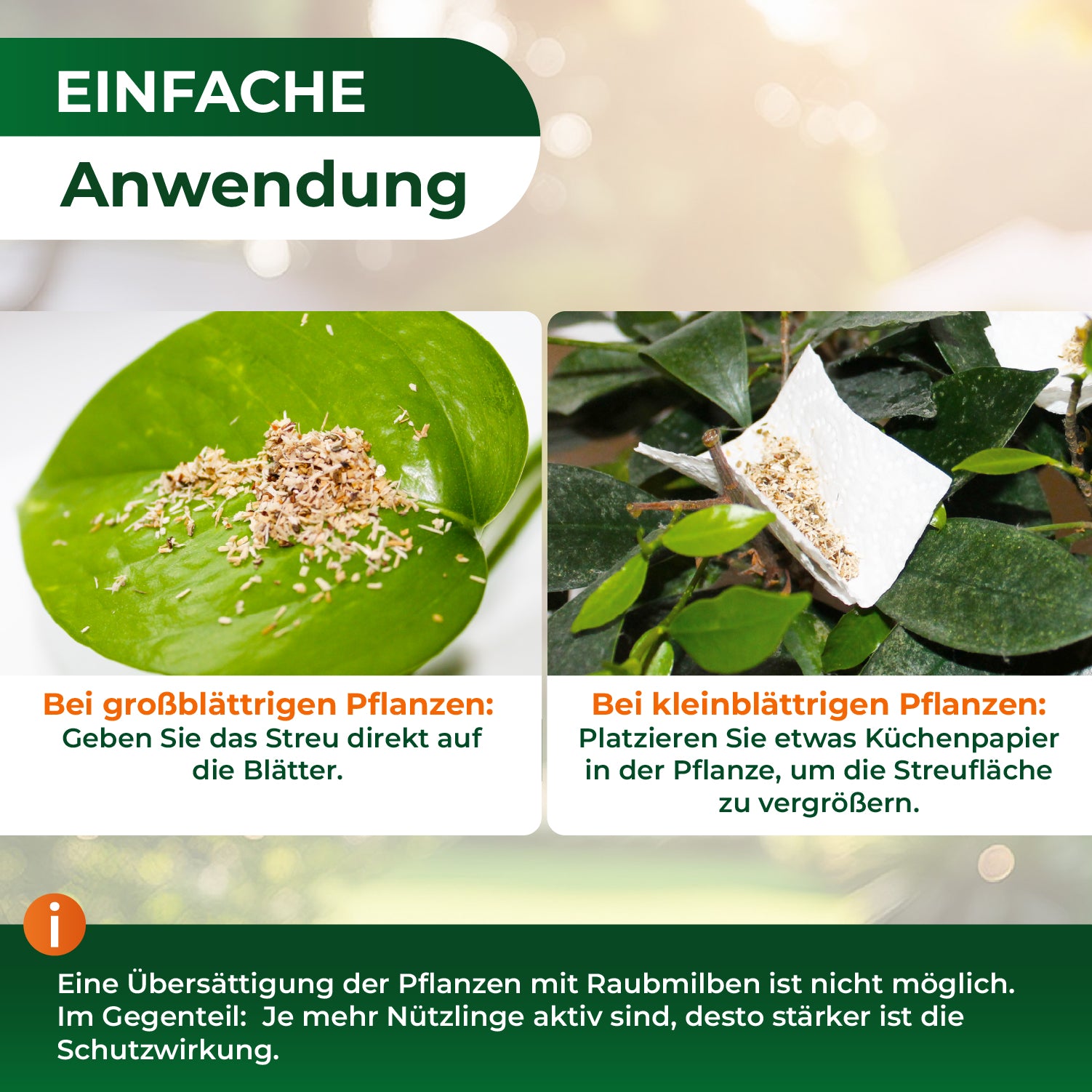 Zwei Nahaufnahmen von Pflanzenblättern mit Streu auf der Oberfläche, links auf einem großen Blatt, rechts auf einem kleinen Blatt mit Küchenpapier darunter