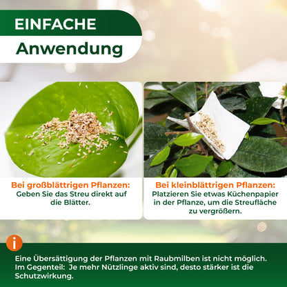 Zwei Nahaufnahmen von Pflanzenblättern mit Streu auf der Oberfläche, links auf einem großen Blatt, rechts auf einem kleinen Blatt mit Küchenpapier darunter