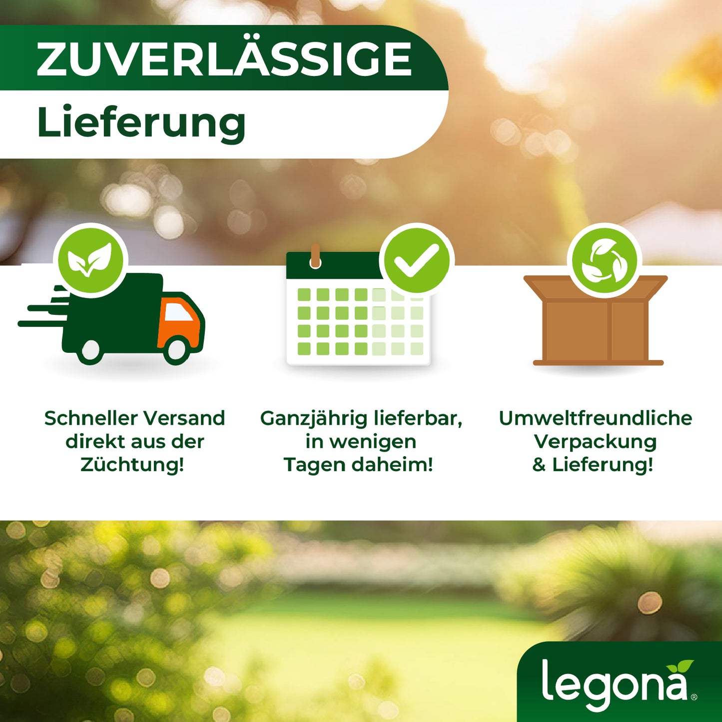 Infografik zur Lieferung mit drei Schritten: Schneller Versand, Kalender mit markierten Tagen und Paketkarton