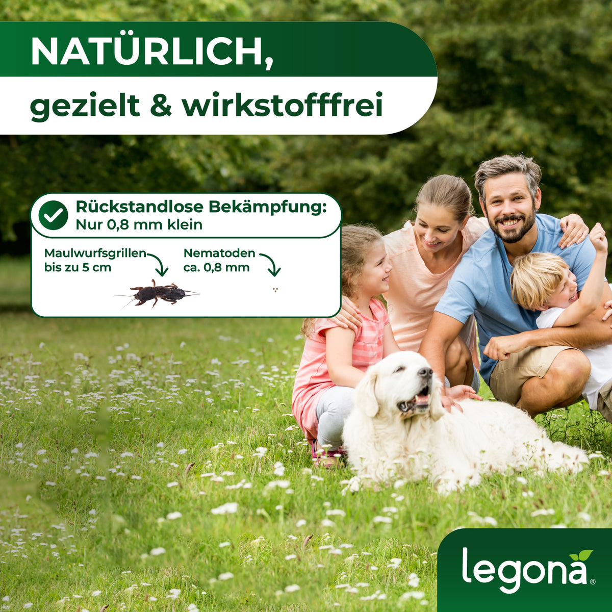 SC-Nematoden gegen Maulwurfsgrillen und Wiesenschnaken