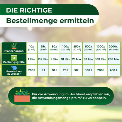 SF-Nematoden gegen Trauermücken und Rüsselkäfer