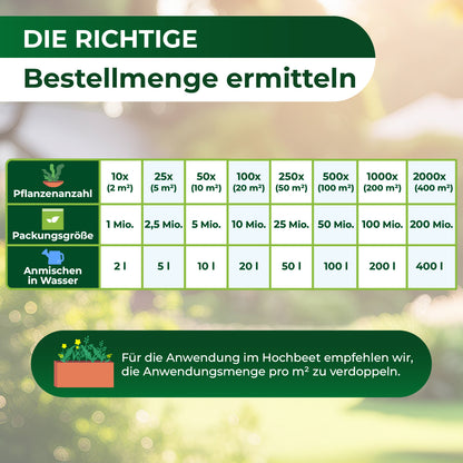 SF-Nematoden gegen Trauermücken und Rüsselkäfer