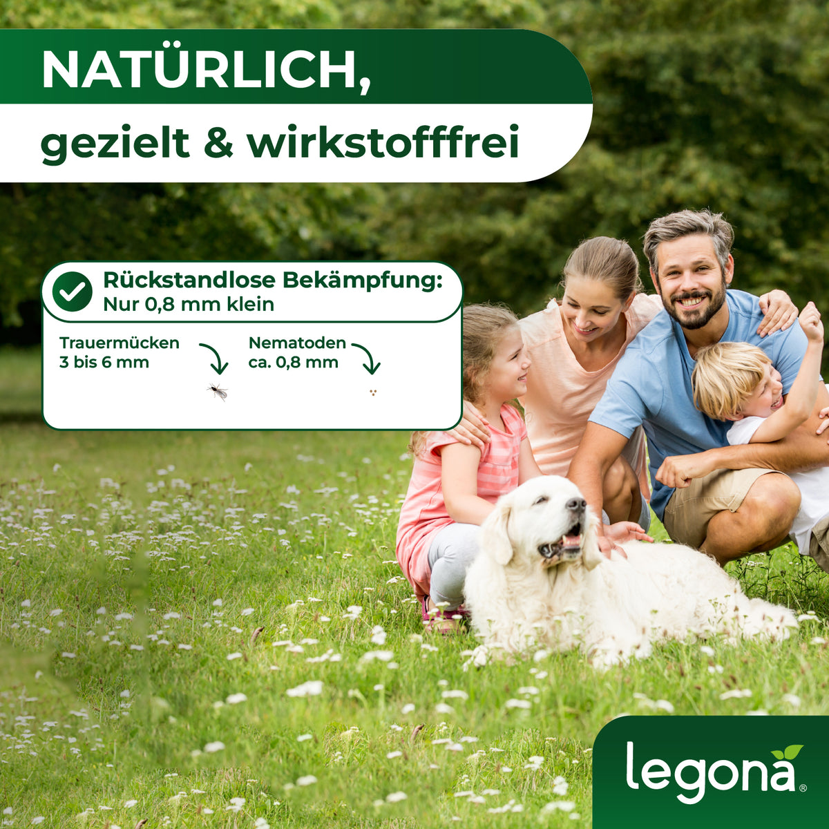 SF-Nematoden gegen Trauermücken und Rüsselkäfer