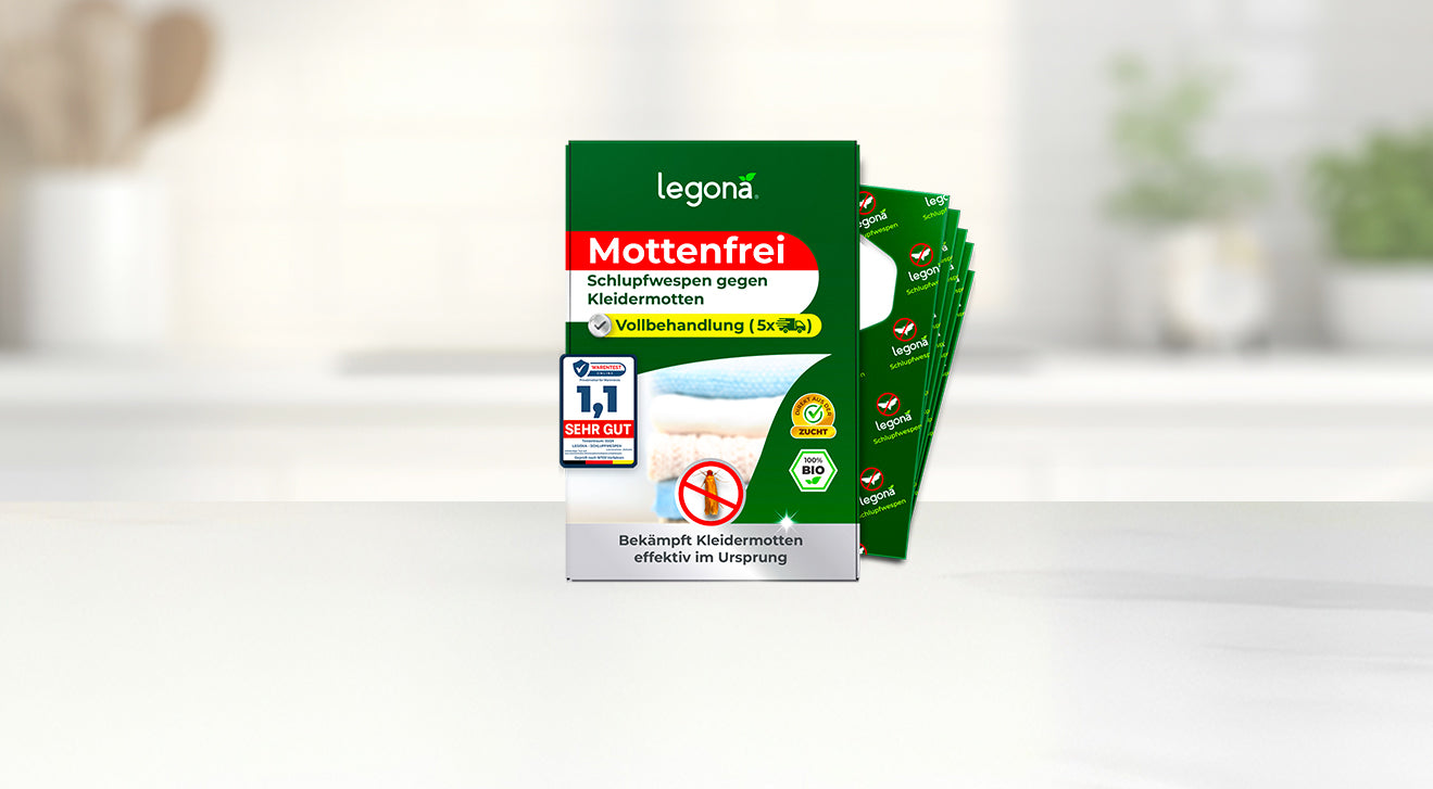 Verpackung von Legona Mottenfrei mit Text zu Schlupfwespen gegen Kleidermotten, daneben mehrere grüne Trägerstreifen im Fächer vor unscharfem Küchenhintergrund