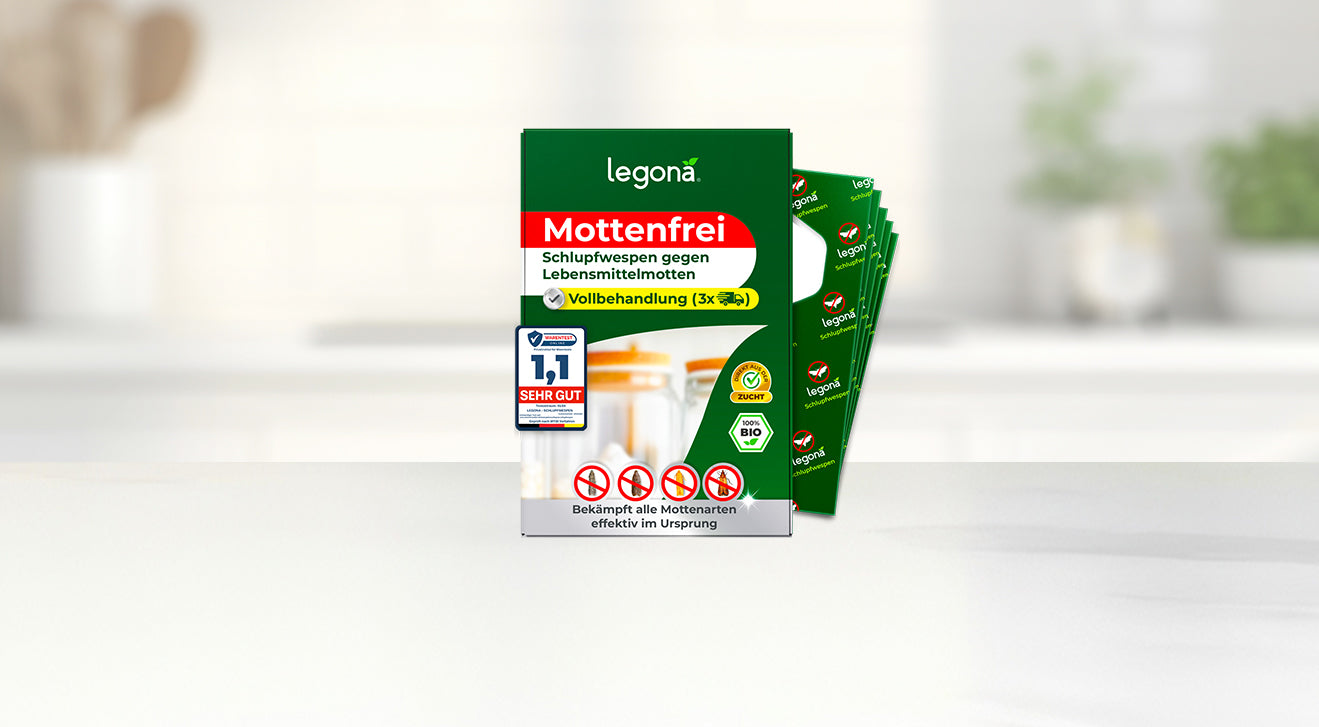 Verpackung von Legona Schlupfwespen gegen Lebensmittelmotten vor unscharfem Küchenhintergrund