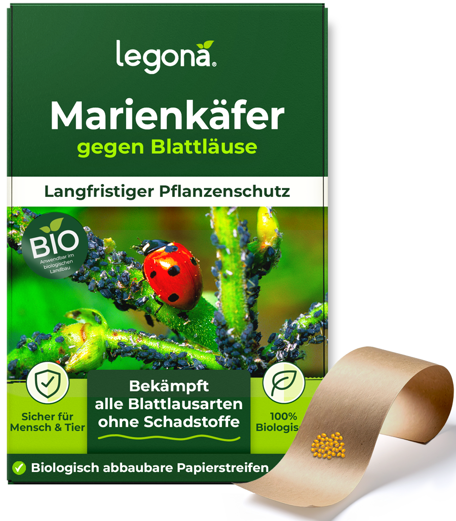 Verpackung von Legona Marienkäfer gegen Blattläuse mit Bild eines Marienkäfers auf einem mit Blattläusen befallenen Pflanzenstängel und biologisch abbaubaren Papierstreifen mit gelb-orangenen Marienkäfereiern