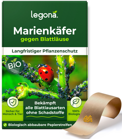 Verpackung von Legona Marienkäfer gegen Blattläuse mit Bild eines Marienkäfers auf einem mit Blattläusen befallenen Pflanzenstängel und biologisch abbaubaren Papierstreifen mit gelb-orangenen Marienkäfereiern