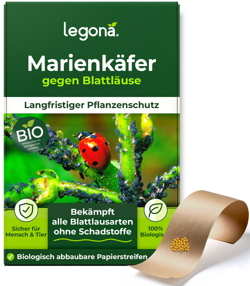 Verpackung von Legona Marienkäfer gegen Blattläuse mit Bild eines Marienkäfers auf einem mit Blattläusen befallenen Pflanzenstängel und biologisch abbaubaren Papierstreifen mit gelb-orangenen Marienkäfereiern