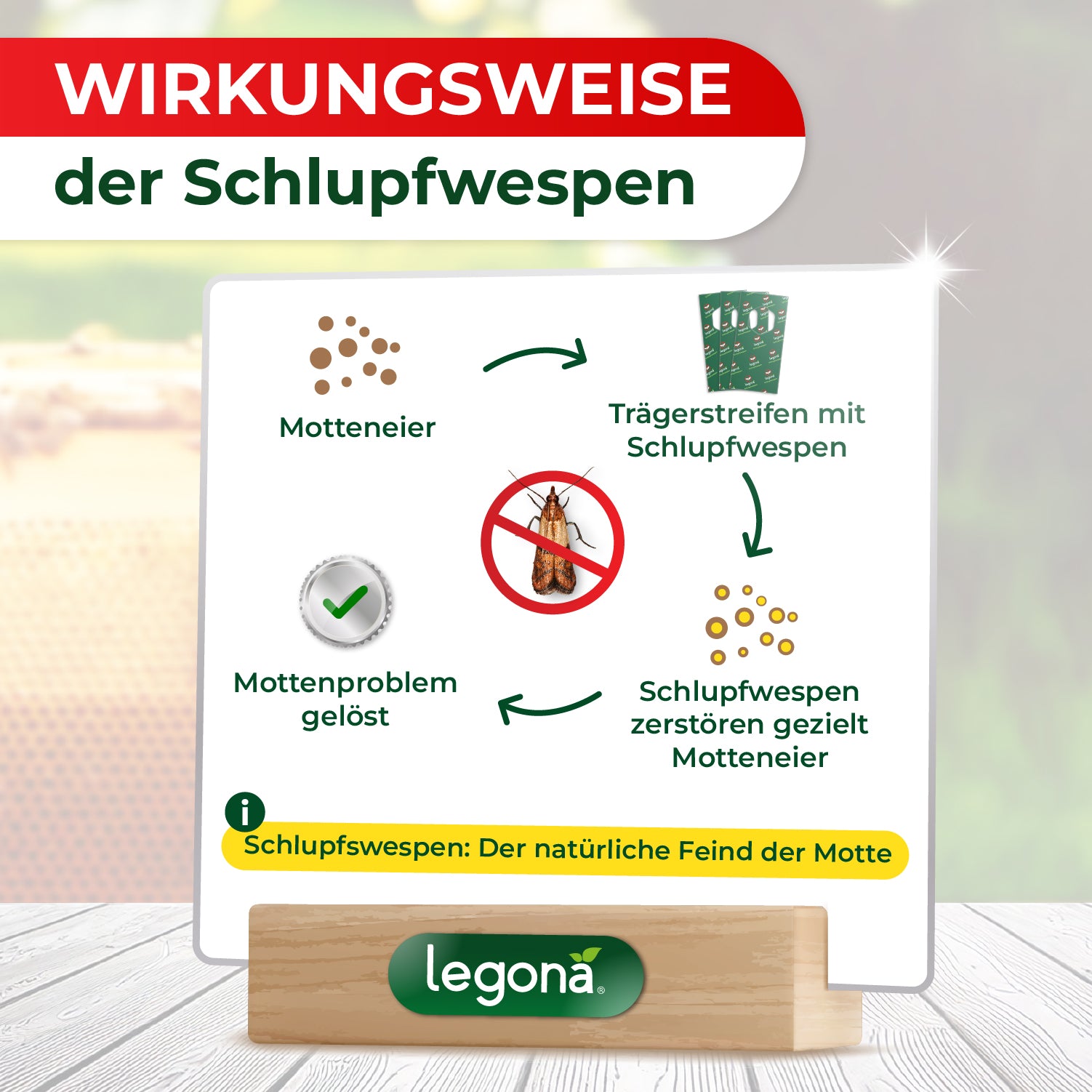 Infografik zur Wirkungsweise von Schlupfwespen zeigt Kreislauf von "Motteneiern", "Trägerstreifen mit Schlupfwespen", "gezielter Zerstörung der Motteneier durch Schlupfwespen" und "gelöstes Mottenproblem" mit dem Hinweis 'Schlupfwespen: Der natürliche Feind der Motte' und dem Logo 'Legona'