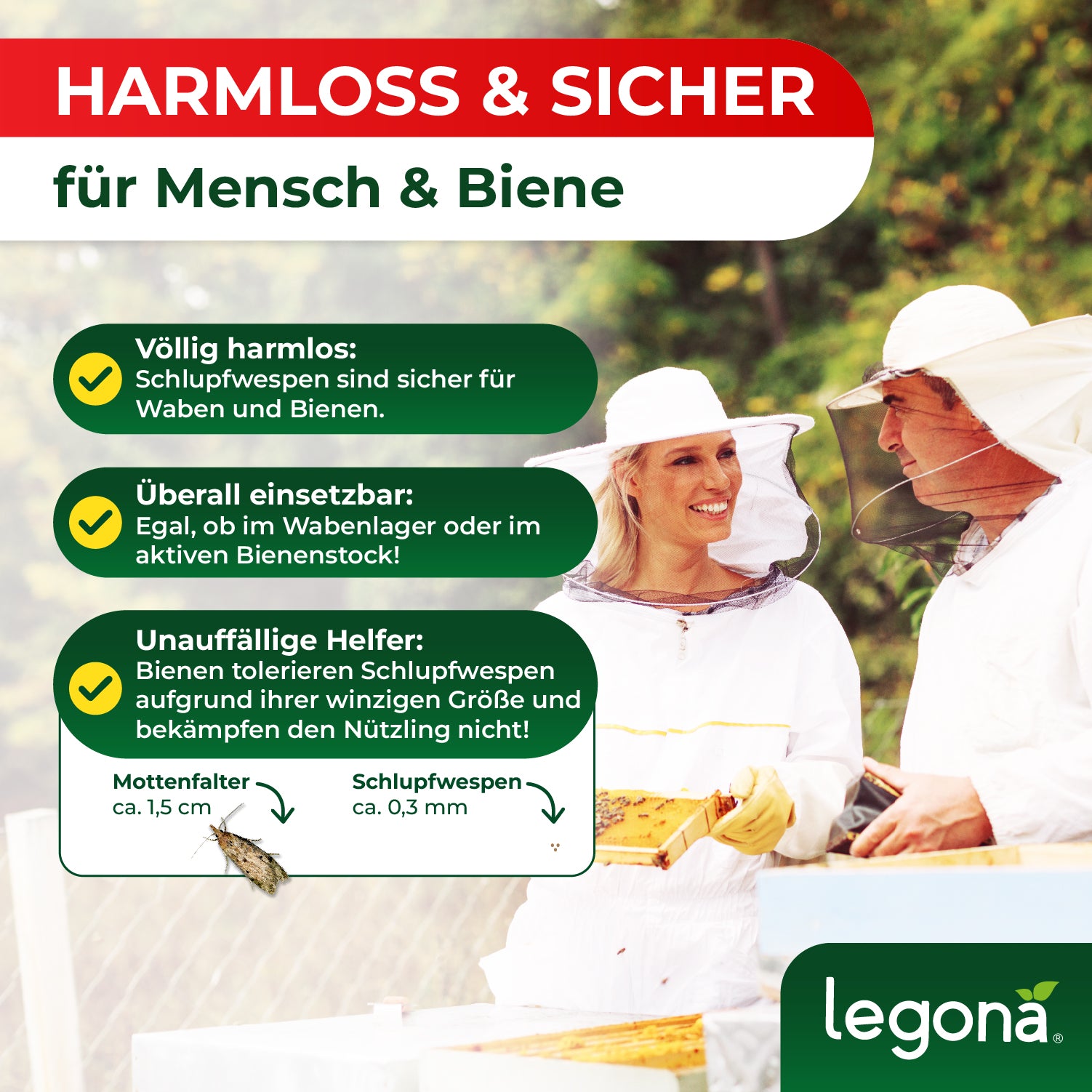 Zwei Imker in Schutzkleidung halten Bienenwaben, daneben Textinformationen zu harmlosen Schlupfwespen mit Abbildungen von Wachsmottenfalter und Schlupfwespe sowie das Logo von legona