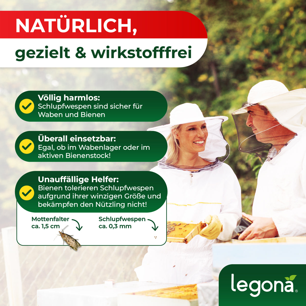 Zwei Imker in Schutzkleidung halten Bienenwaben vor einem Text mit Stichpunkten zu Schlupfwespen als natürliche, wirkstofffreie Helfer gegen Motten