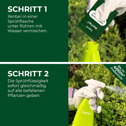 Zwei Anwendungsschritte für die Verwendung von Xentari werden mit Beispielfotos gezeigt: 1. Hand mit weißem Handschuh gießt Inhalt eines grünen XenTari-Sachets in eine gelbe Sprühflasche. 2. Hand mit weißem Handschuh benutzt die Sprühflasche.
