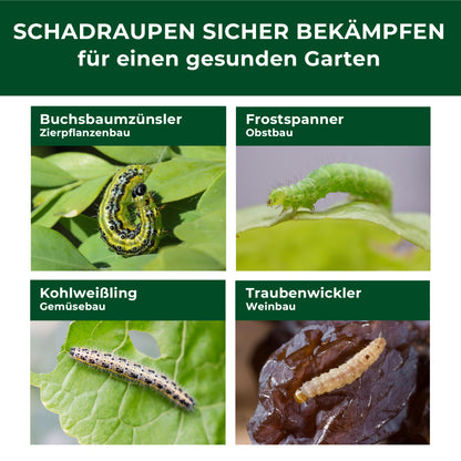 XenTari Zünslerfrei & Raupenfrei