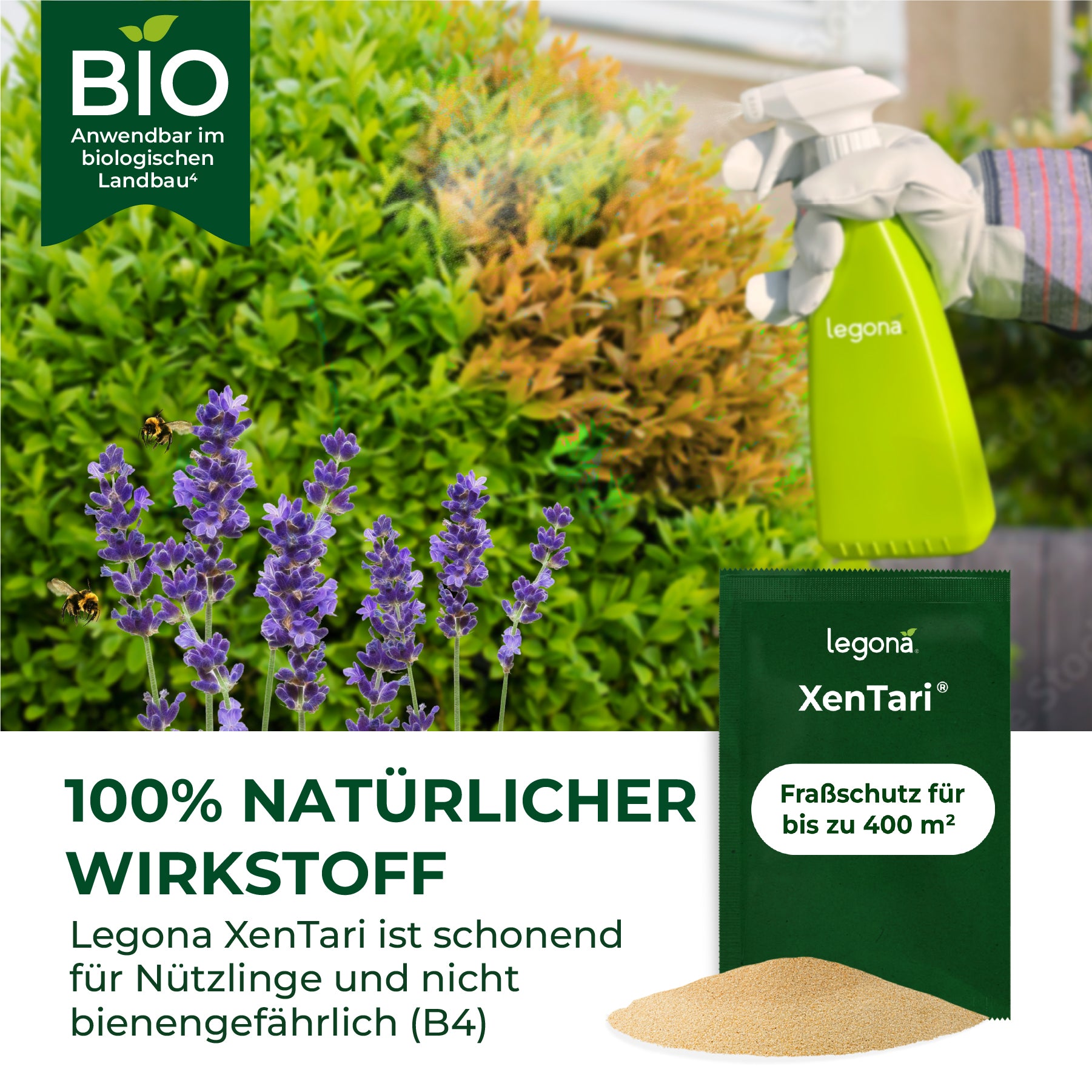 Sprühflasche mit Aufschrift 'legona' in einer Hand mit Handschuh vor grünen Pflanzen und Lavendelblüten, daneben Packung und Pulver von Legona XenTari mit Text zu natürlichem Wirkstoff und Fraßschutz bis 400 m²