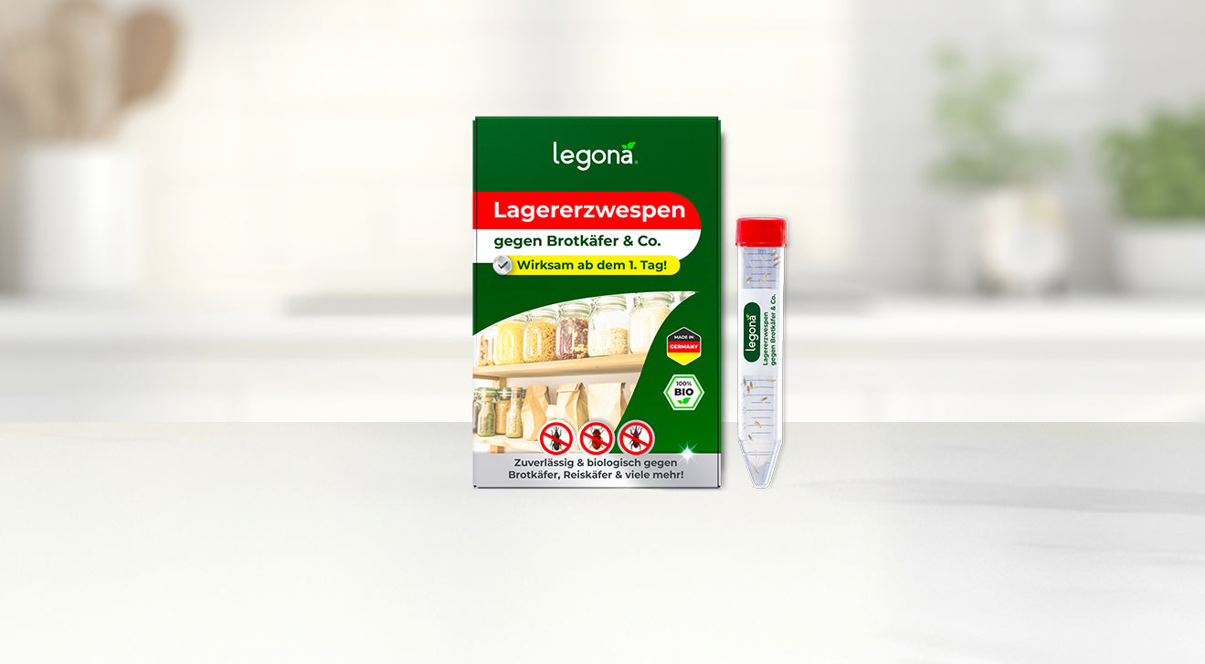 Verpackung und Versandröhrchen des Produkts "Legona Lagererzwespen" gegen Brotkäfer auf hellem Hintergrund