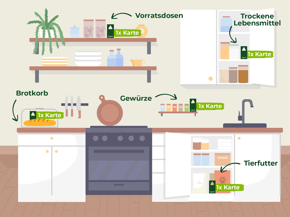 Küche mit Beschriftungen für Vorratsdosen, trockene Lebensmittel, Brotkorb, Gewürze und Tierfutter, jeweils mit Hinweis '1x Karte' von Legona