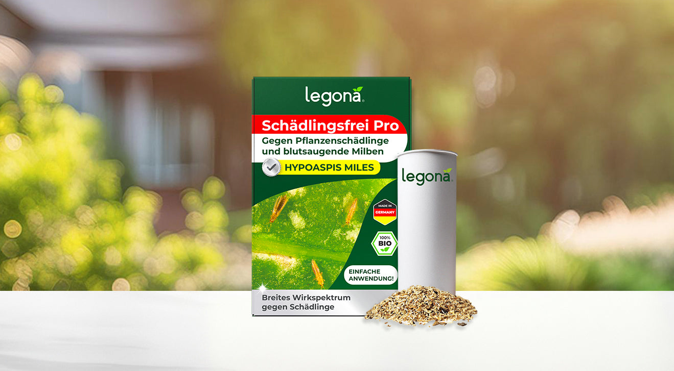Legona Schädlingsfrei Pro - Pflanzenschutzmittel mit grünem Verpackungsdesign gegen Pflanzenschädlinge und Milben
