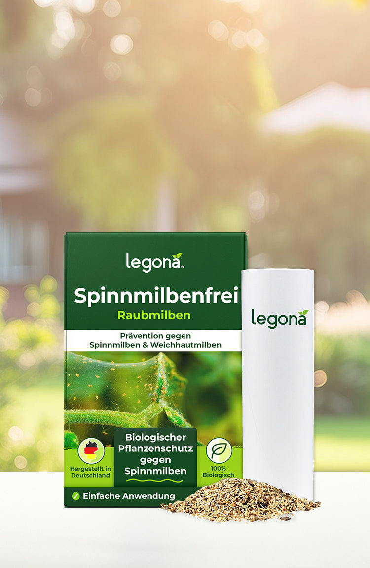 Packung und Becher des Produkts 'Legona Spinnmilbenfrei Raubmilben' mit einer kleinen Menge des Granulats auf hellem Hintergrund