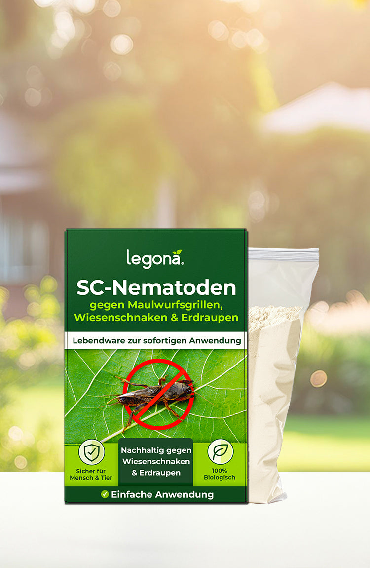 Legona SC-Nematoden gegen Maulwurfsgrillen, Wiesenschnaken und Erdraupen, nachhaltige biologische Schädlingsbekämpfung