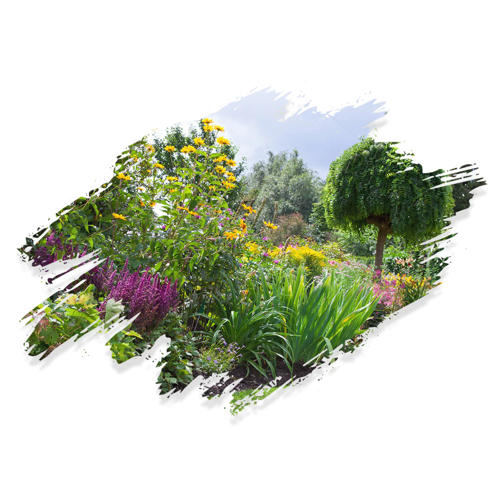 Ausschnitt blühender Garten